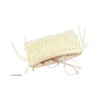 Zofu Glasses Case, Sunglasses Case, Ribbon, Ruffle, Pouch, Clothing, Stylish,
