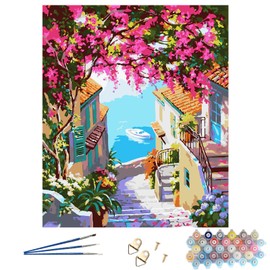 Thoquene Paint by Numbers Adult Paint by Numbers 40 x 50 cm with Frame