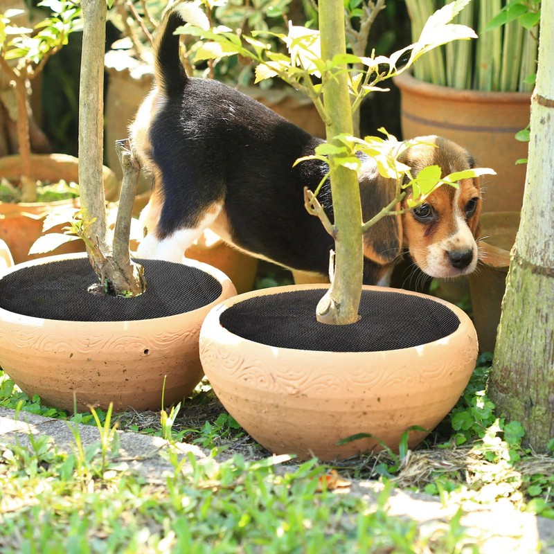 Newtay 4 Pcs 16'' Plant Pot Grid Soil Protector Covers