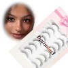 False Eyelashes Wispy Lashes Natural Look Fake Eyelashes Cat Eye