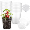 WandaQueen 30 Packs 5 Inch Reinforced Clear Nursery Pots for