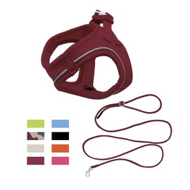 Qianruida Dog Harness, Step-in Harness for Dogs with Lead, Reflective, Breathable, Mesh, Soft, Comfortable, Adjustable, Vest for Small Dogs, Cats, Walking, Running, Training (Bordeaux L)