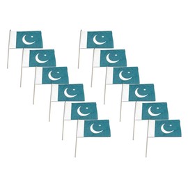 Online Stores Pakistan Flag 12 x 18 inch - 12 PK