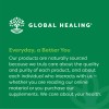 Global Healing Valerian Root Organic Herbal Extract, Sleep Support, 2