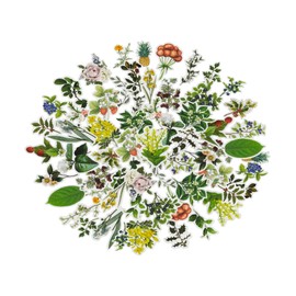 ZMLSED Botanical Stickers, 60 PCS Vintage Mini Aesthetic Stickers for Scrapbooking, Wild Plant Berry Flower Decals Waterproof Vinyl Stickers for Bullet Junk Journal Planner Laptop Diary Album