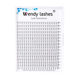 6D Premade Fans Eyelash Extension 320PCS 0.07mm C Curl 9-16mm Mixed Pre Made Fans Lashes Ponited Base Russian Volume Eyelash Extensions(320PCS-6D-0.07-C)