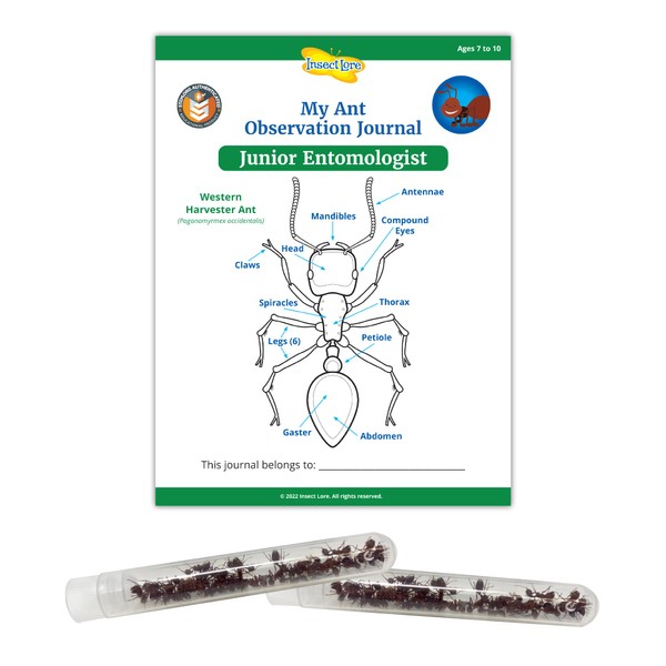STEM Ant Observation Journal and Two Tubes of Live Ants