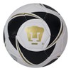 Balón De Fútbol Pumas Edición Especial Cosido A Máquina N5