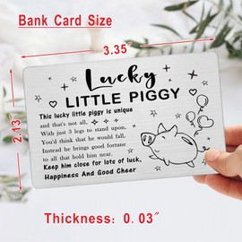 Laluminter Lucky Little Piggy Charm Wallet Card Inserts - Good Luck Pig Gifts - Year-Round Positive Energy Companion - Christmas Birthday Graduation Lucky Charms with Pig
