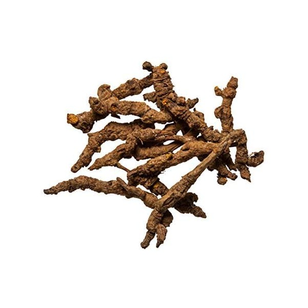 Coptis Rhizome Chinese Herb | Huang Lian Herb - Used Clinically as Broad Spectrum Antibiotic or Clears Heat and Stops Bleeding (1 Lb)