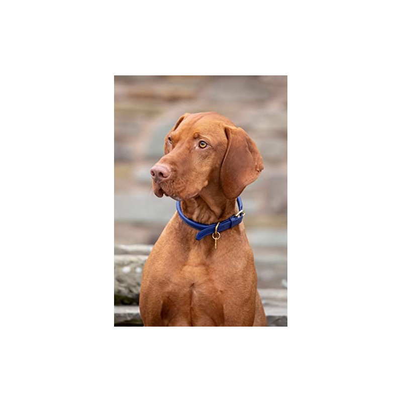 Shires Rolled Leather Dog Collar Medium/Large Black