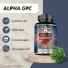 Alpha-GPC 600mg per Daily Dose - 90 Vegan Choline Capsules