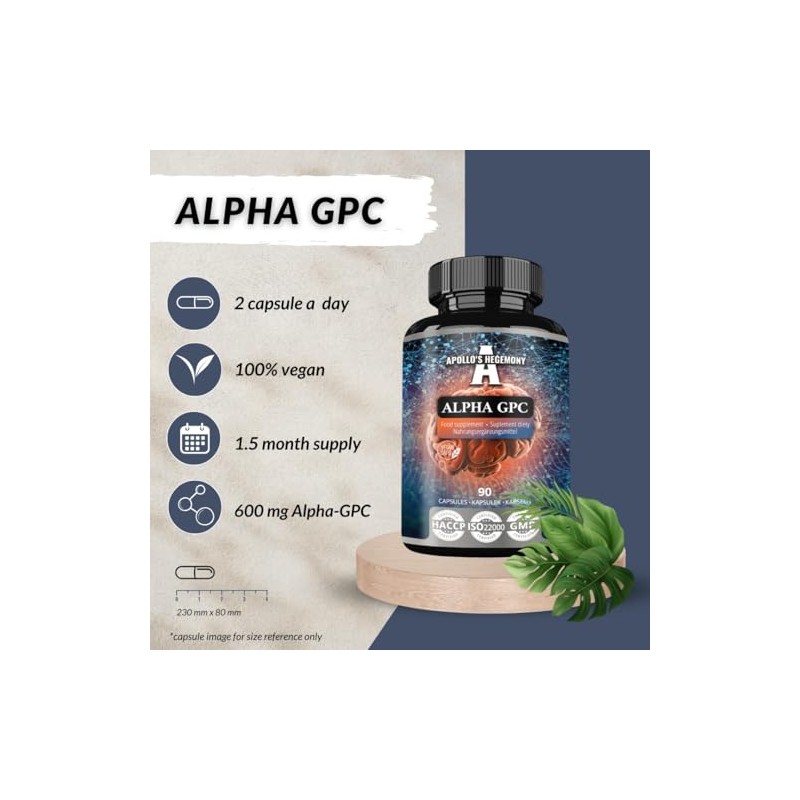 Alpha-GPC 600mg per Daily Dose - 90 Vegan Choline Capsules