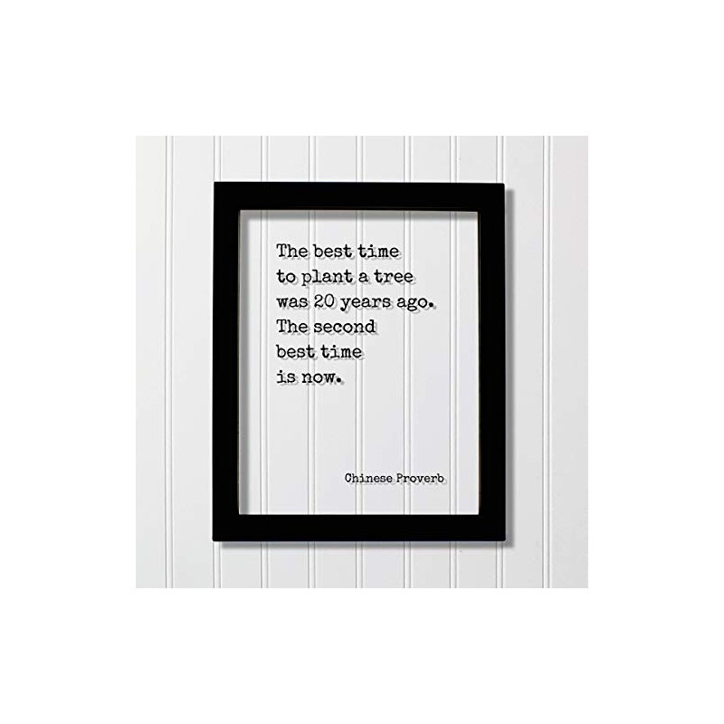 Chinese Proverb - Floating Quote - The best time to