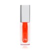 Two AN Lip Oil Paul Inn Hibiscus 3G / 투에이엔 립 오일 폴 인 히비스커스 3g
