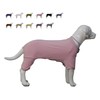 Lovelonglong Ribbed Dog Pajamas Cotton Knitted Dog Jumpsuits 4 Legged