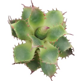 Duovlo Pack of 2 Artificial Succulent Plant 5.15 Inch Faux Succulents Agave potatorum Flower Arrangement Craft Wall DIY Materials (Green)