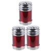 BIUDECO Seasoning Container Set 3 Pcs Stainless Steel Salt Bottle
