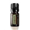doTERRA Douglas Fir Douglas Fir 5mL Cedar Essential Oil Top CPTG Standard 100% Pure Essential Oil