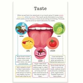 Printlabz Taste Buds Anatomy Classroom Poster - Learning the Tongue - Biology Classroom - Science Class - 12 x 18 Inch - Classroom Decor - Classroom Must Haves - Back To School Decor - CPS0241
