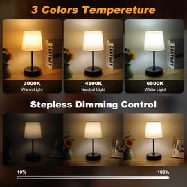 Ascher Small Bedside Table lamp Set of 2, RGB Color Changing Lamps, 3 Color Temperatures, Dimmable Nightstand Lamp with USB C+A Ports, Touch Desk Lamp for Bedroom, Living Room, Office(Flaxen Shade)