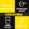 Creatina Monohidratada Big Protein 1kg Bolsa 200 Servicios