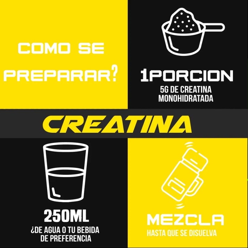 Creatina Monohidratada Big Protein 1kg Bolsa 200 Servicios