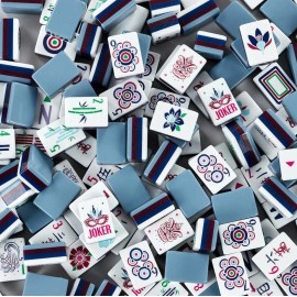 USA Local Stock,Tournament Standard American Mahjong Set, 160 Tiles National Mah Jongg League Rules,American Mahjong SetColor: Red Puppy