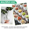 Succulent Rocks for Plants Tiny Pebbles for Planters 4.8LB Pea