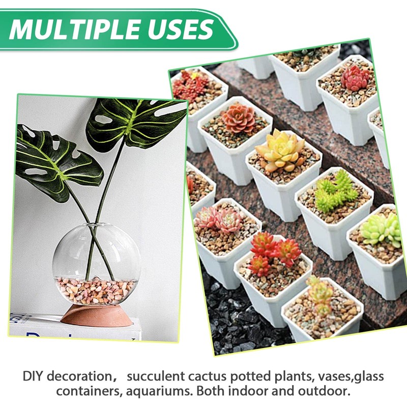 Succulent Rocks for Plants Tiny Pebbles for Planters 4.8LB Pea