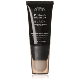 ALTERNA 2 Minute Root Touch-Up BLACK 30 ml