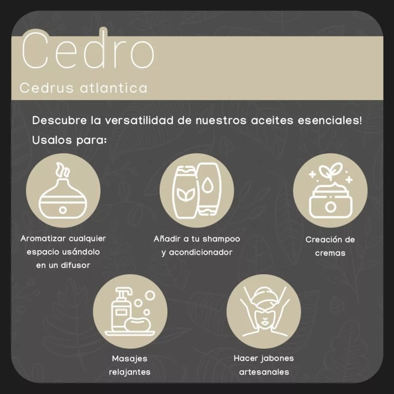 Nate Organic Aceite Esencial Cedro 100% Puro Natural 50 Ml