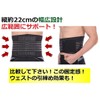 Gatchili World Bridge Waist Corset, 8 Special Bones, Lumbar Support,
