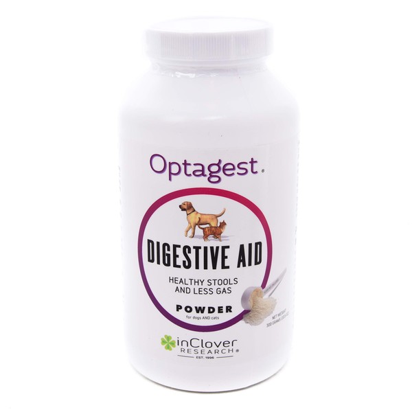 In Clover Optagest Daily Digestive Enzymes for Dogs. Organic Prebiotic Natural Enzyme Powder for Immune Support, Healthy Stools and Less Gas. No Foreign Probiotics