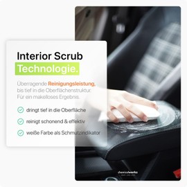 Chemicalworkz® Interior Cleaning Scrub Pad (Pack of 1)