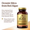 Solgar Oceanic Silica from Red Algae 25 mg, 100 Vegetable