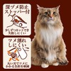 ペティオ (Petio) ネココ カーブつめ切り ストッパー付 猫用