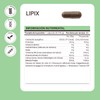 YOU MATTER SMART NUTRIENTS - Lipix - Suplemento Alimenticio Herbolario