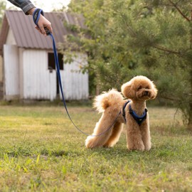 Ferplast ERGOCOMFORT G Ergonomic Dog Lead - Secure Grip with Soft Padding - Anti-Abrasion - Extra-Resistant Finished Seams - Italian Design - 120 x 1.5 cm, Blue
