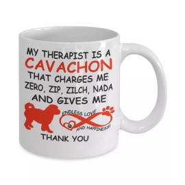 Cavachon Dog,Cavachons,