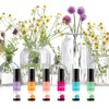Essential Oil Set GLAMZA 100% Natural Oils - Set of