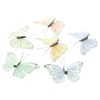FRANK FLECHTWAREN Butterfly Clip Set of 6 Feathers Plastic Metal