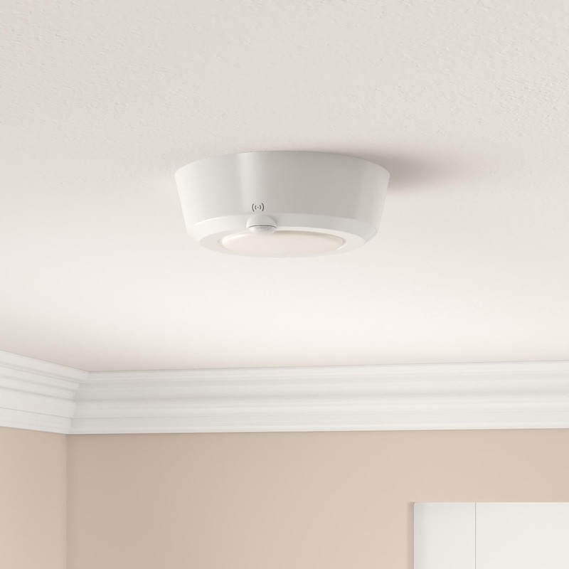 LUXSWAY Wireless Ceiling Light with RF Remote and Motion Detector,