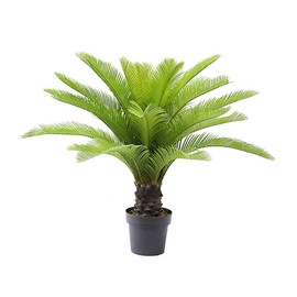 AMERIQUE 3 Feet Cycas Revoluta Sago Palm Tree Artificial Plant with Nursery Pot, Feel Real Technology, 21 Long Leaves