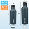 BJPKPK Insulated Water Bottle With Straw 17oz Stainless Steel Water