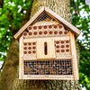Tinideya 250 Pcs Phragmite Reed Mason Bee Tubes Set Bee