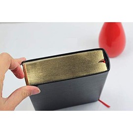 Cuaderno de piel grueso en blanco de alta calidad, cuaderno de escritura con borde dorado, 440 páginas (220 hojas), diario de viaje, regalo ideal para aniversario, cumpleaños, día de la madre, color