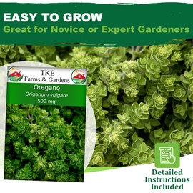 TKE Farms & Gardens - Oregano Seeds for Planting, 3000+ Non-GMO Heirloom Seeds, 500mg, Open Pollinated Perennial Herb, Origanum vulgare, for Indoor & Outdoor Gardens, Qty 1