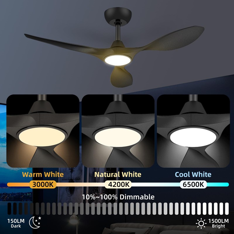Roomratv 42 Inch BLack Ceiling Fans with Lights, Remote Control,Reversible