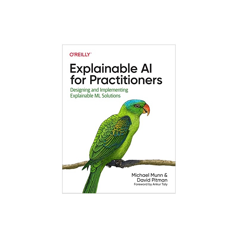 Explainable AI for Practitioners: Designing and Implementing Explainable ML Solutions